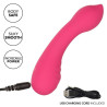 Calexotics - Pixies Teaser Rose